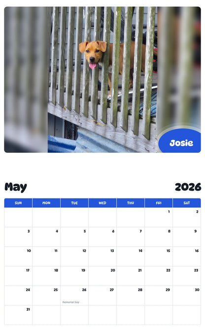 2026 - 2027 Josie - Pawidols Pet Calendar