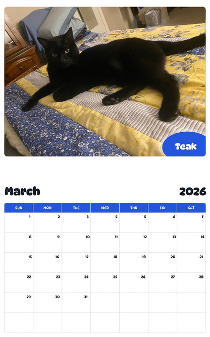 November 2025 - October 2026 Teak - Pawidols Pet Calendar