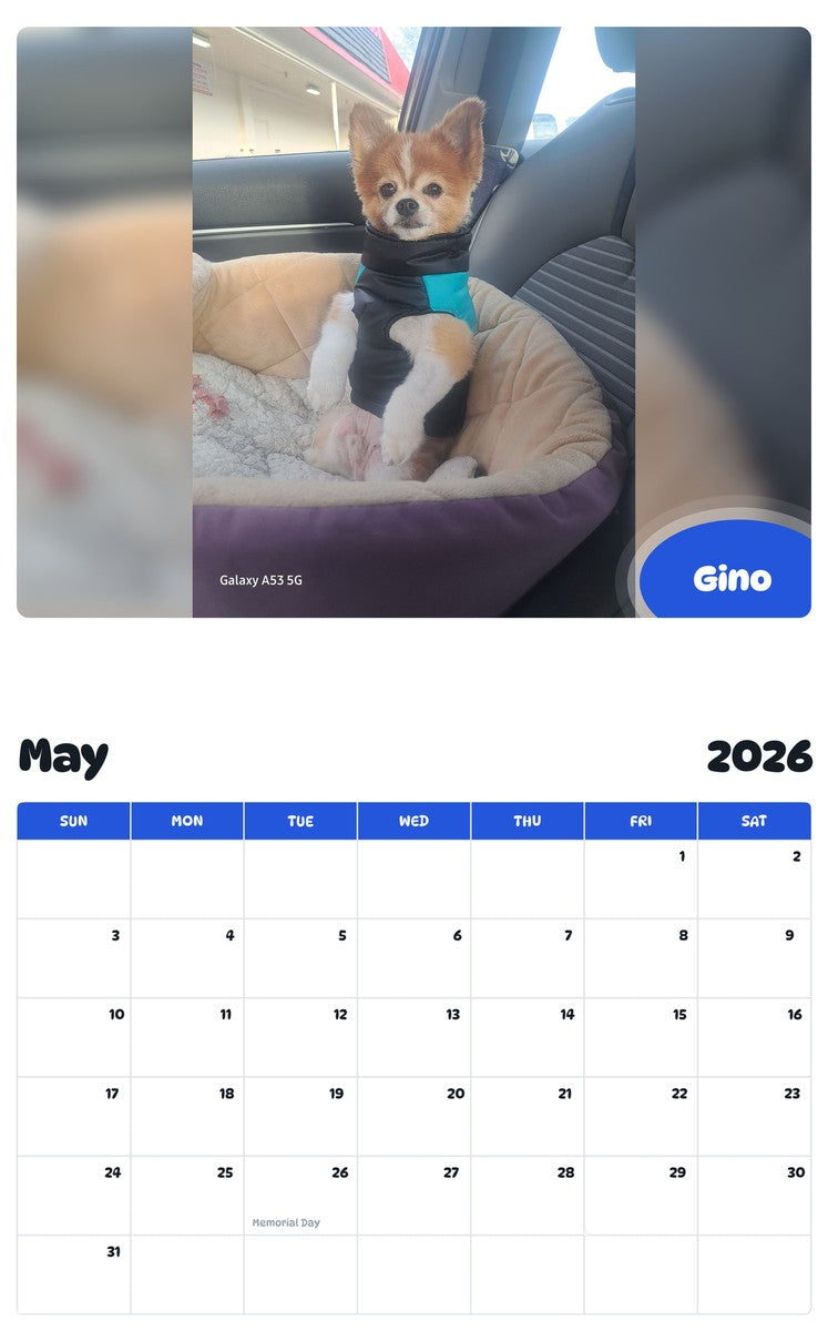 2026 - 2027 Gino - Pawidols Pet Calendar