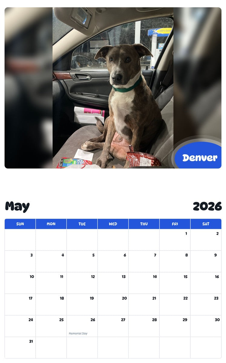 2026 - 2027 Denver - Pawidols Pet Calendar