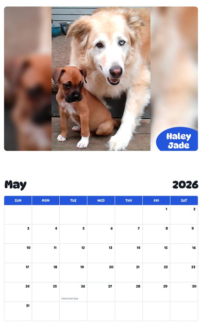 2026 - 2027 Haley Jade - Pawidols Pet Calendar