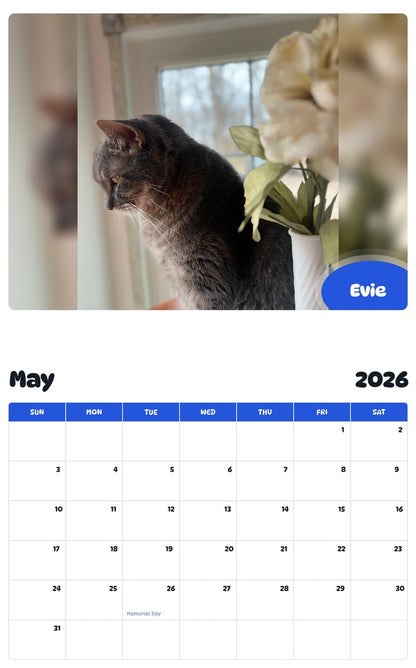 2026 - 2027 Evie - Pawidols Pet Calendar