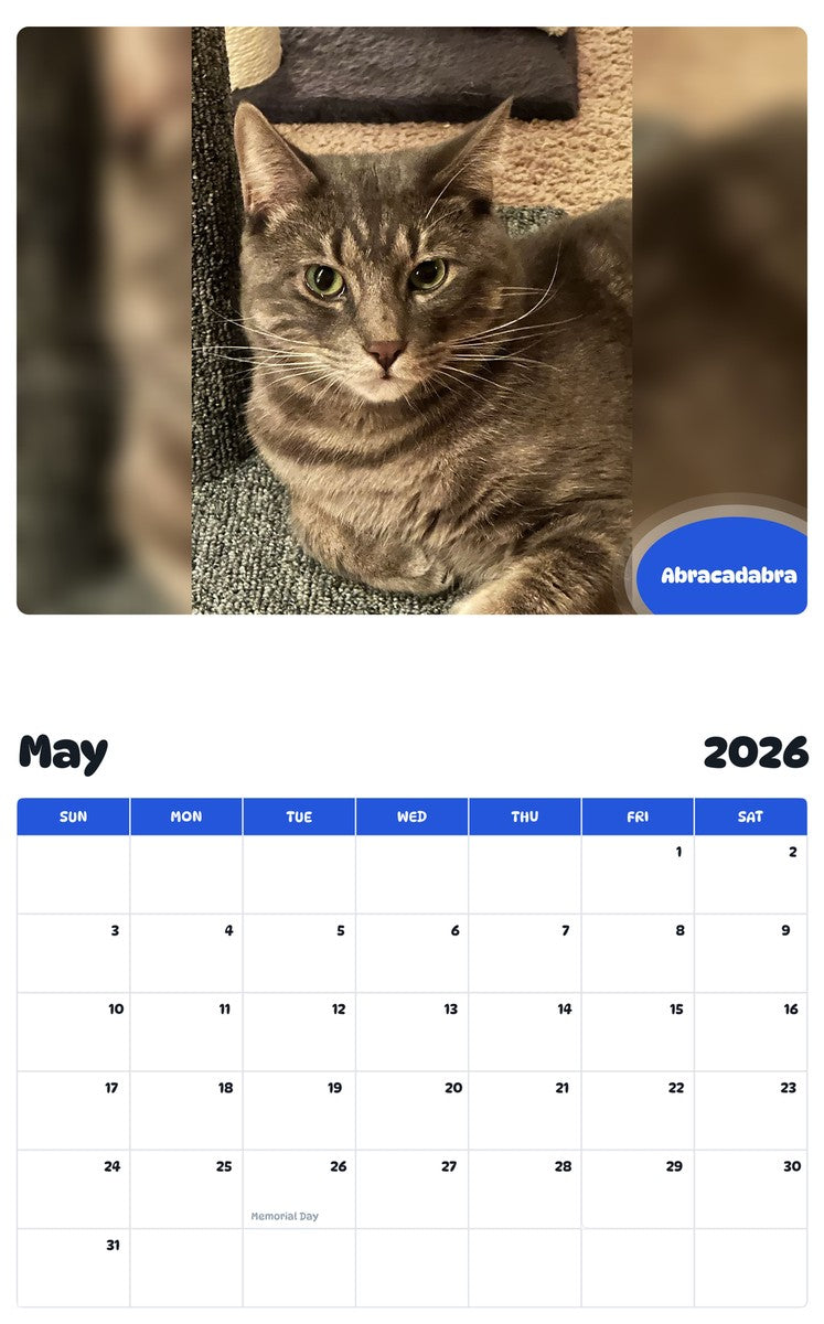2026 - 2027 Abracadabra - Pawidols Pet Calendar