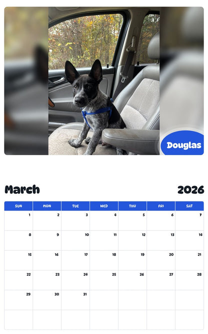 November 2025 - October 2026 Douglas - Pawidols Pet Calendar