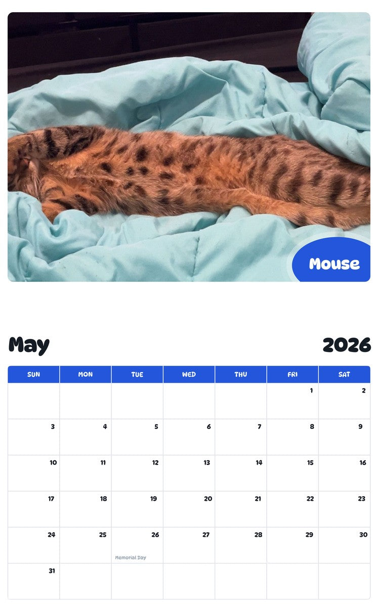 2026 - 2027 Mouse - Pawidols Pet Calendar