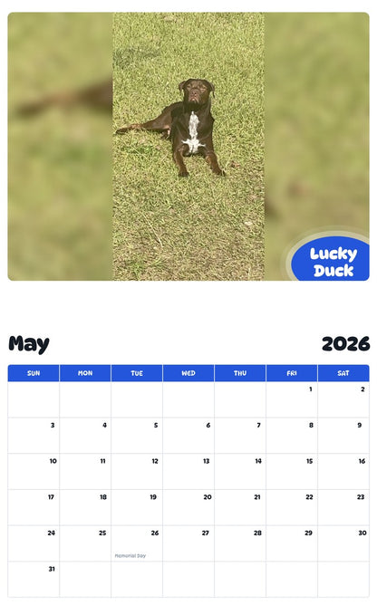 2026 - 2027 Lucky Duck - Pawidols Pet Calendar