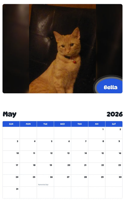 2026 - 2027 Bella - Pawidols Pet Calendar