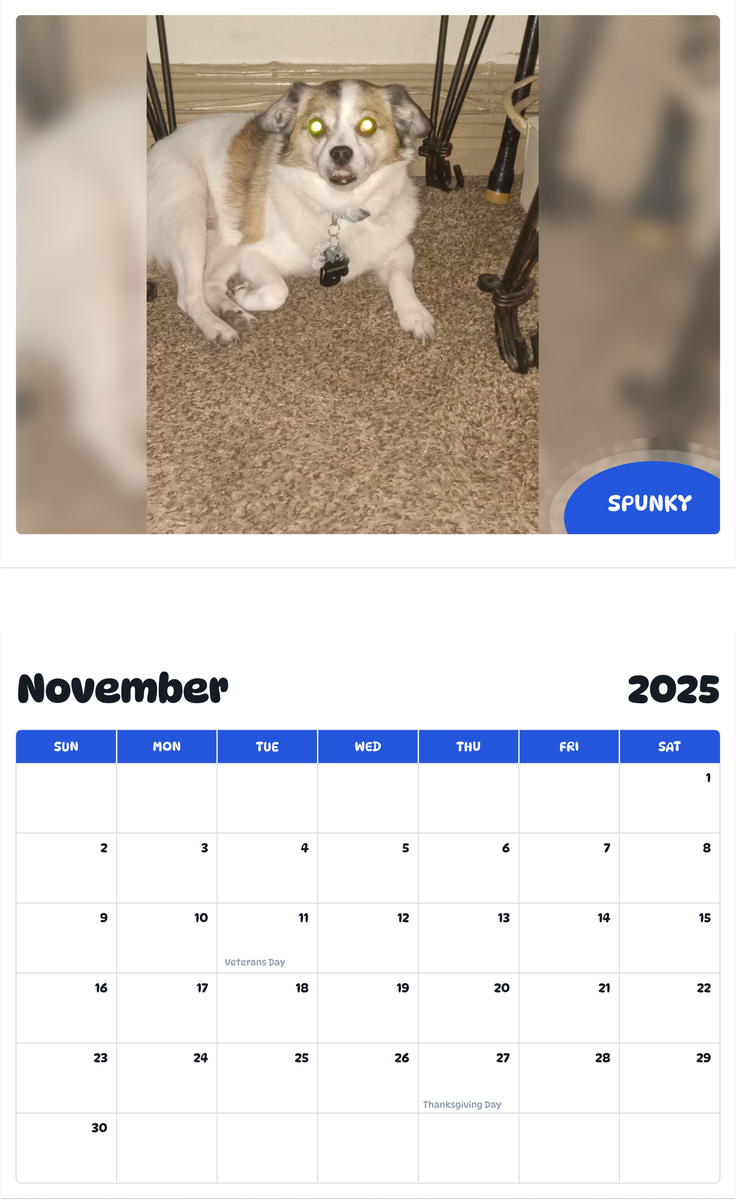 July 2025 - June 2026 Spunky - Pawidols Pet Calendar