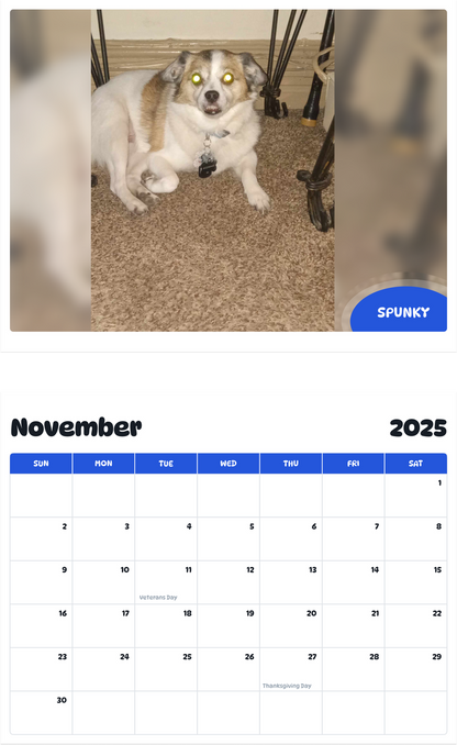 July 2025 - June 2026 Spunky - Pawidols Pet Calendar