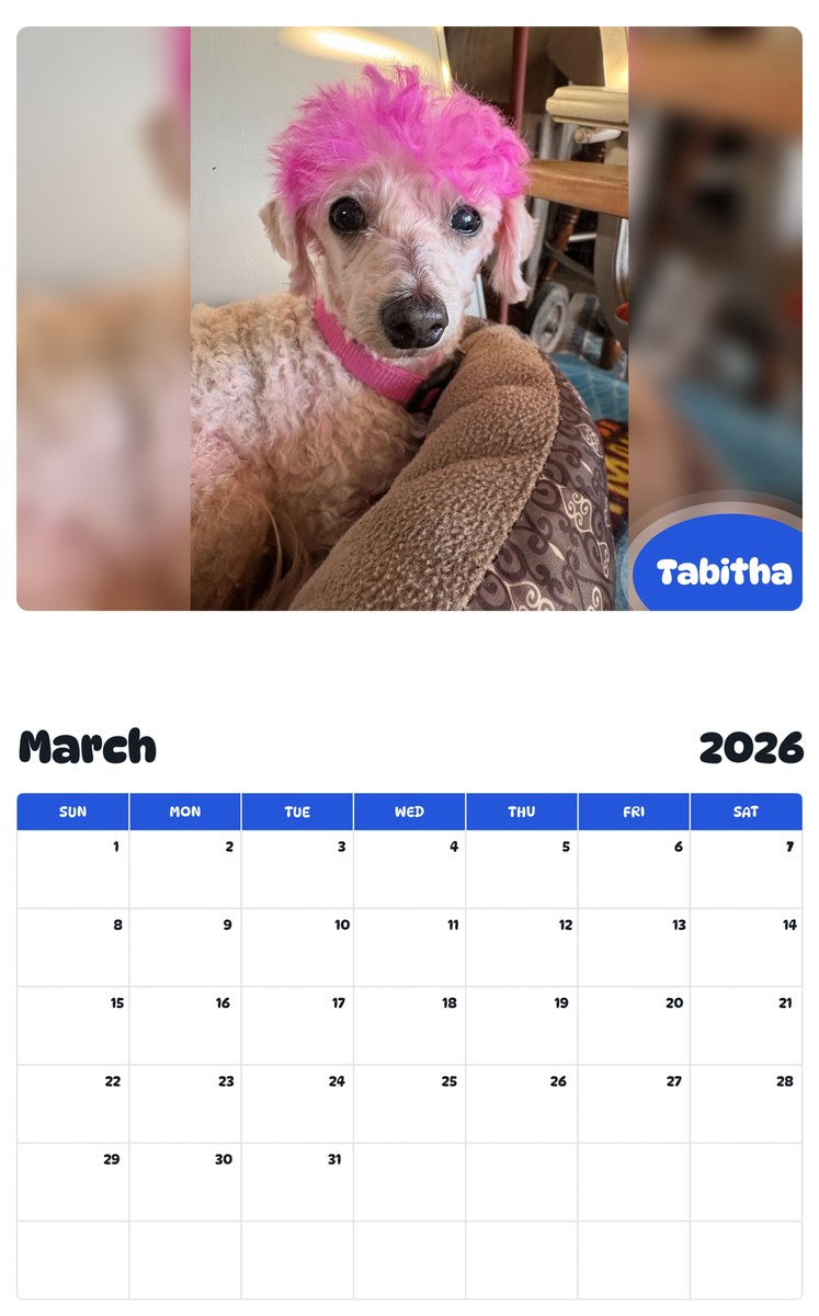 November 2025 - October 2026 Tabitha - Pawidols Pet Calendar