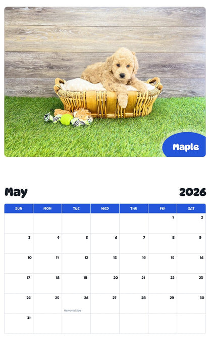 2026 - 2027 Maple - Pawidols Pet Calendar