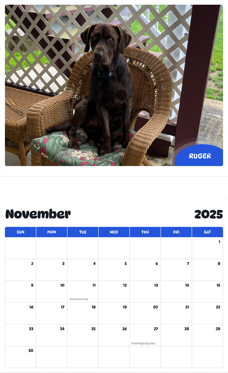 July 2025 - June 2026 Ruger - Pawidols Pet Calendar