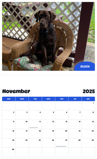 July 2025 - June 2026 Ruger - Pawidols Pet Calendar
