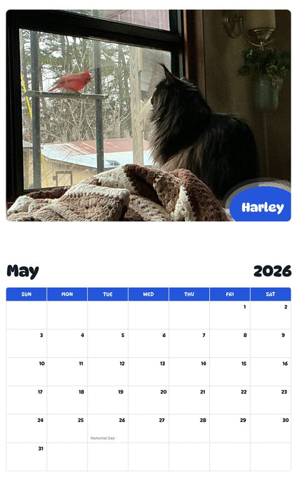 2026 - 2027 Harley - Pawidols Pet Calendar