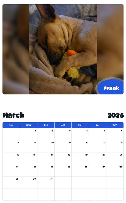 November 2025 - October 2026 Frank - Pawidols Pet Calendar