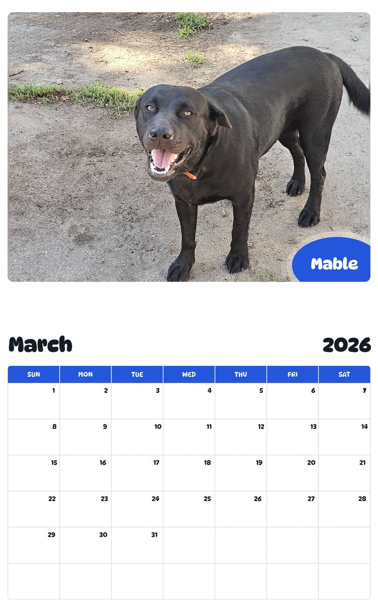 November 2025 - October 2026 Mable - Pawidols Pet Calendar