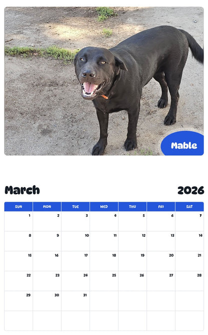 November 2025 - October 2026 Mable - Pawidols Pet Calendar