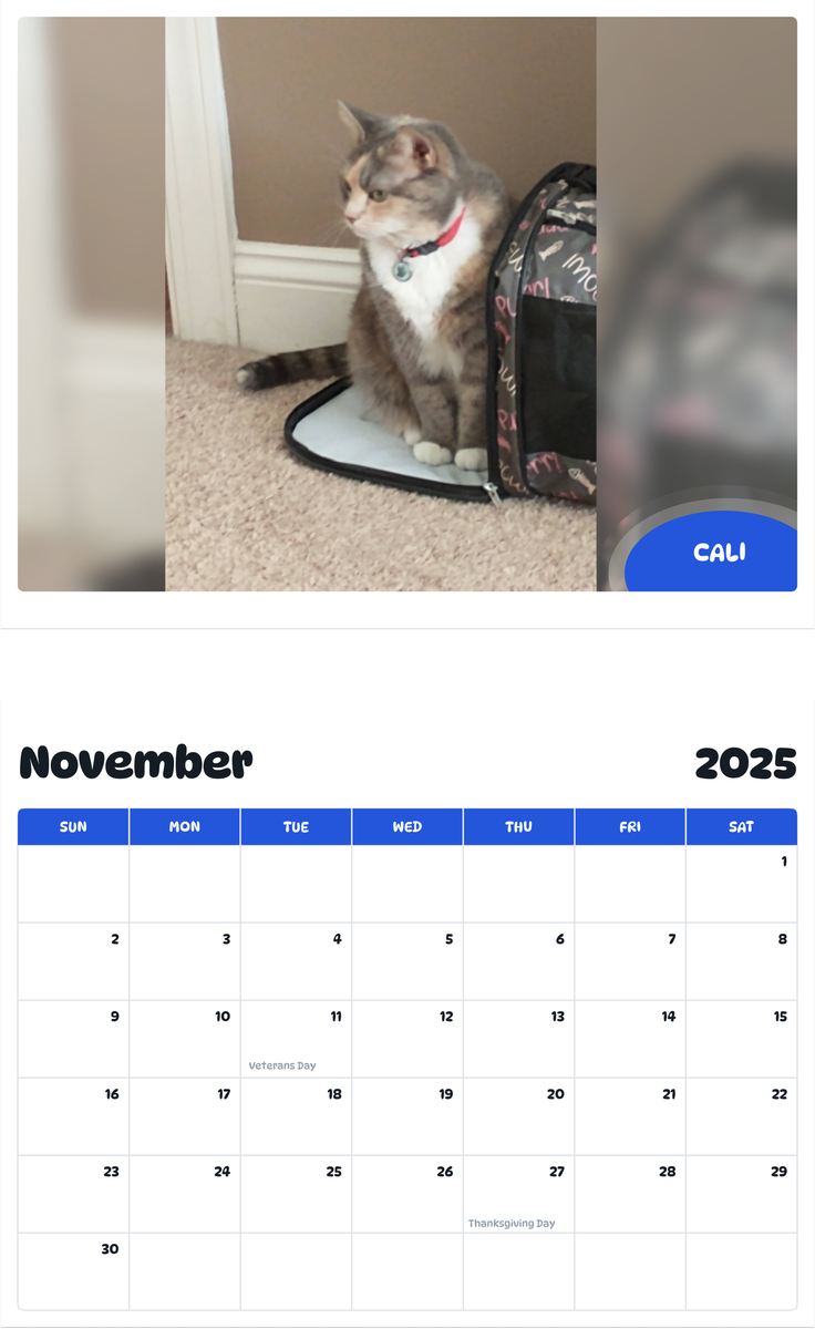 July 2025 - June 2026 Cali - Pawidols Pet Calendar