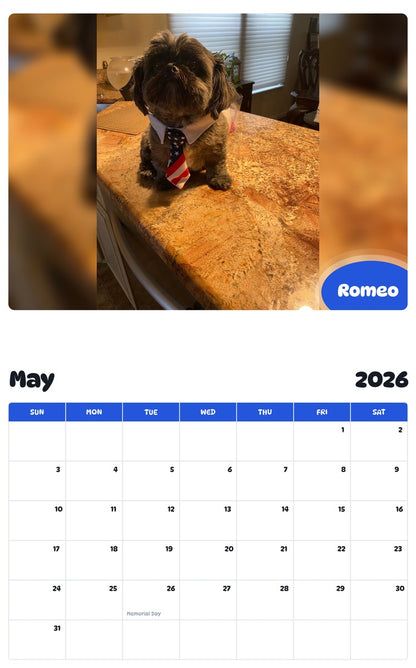 2026 - 2027 Romeo - Pawidols Pet Calendar