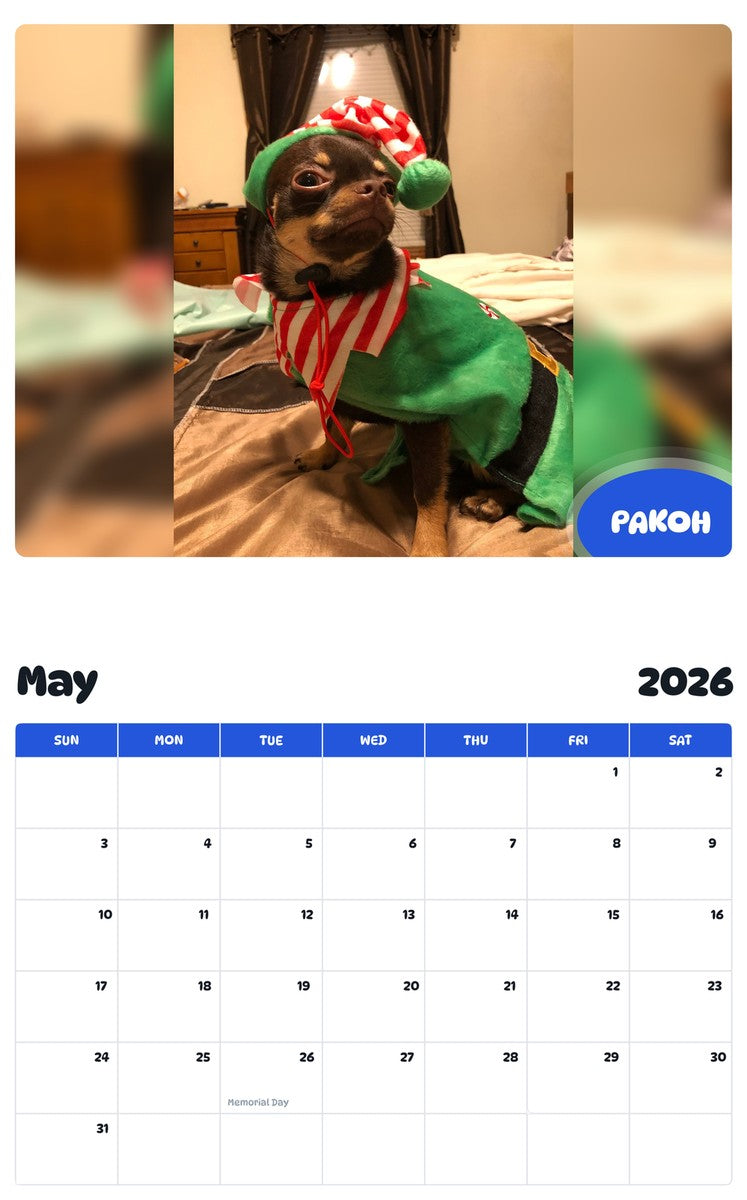 2026 - 2027 PAKOH - Pawidols Pet Calendar