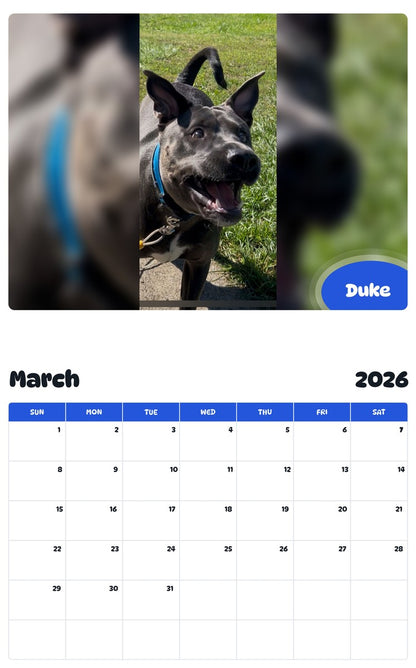 November 2025 - October 2026 Duke - Pawidols Pet Calendar