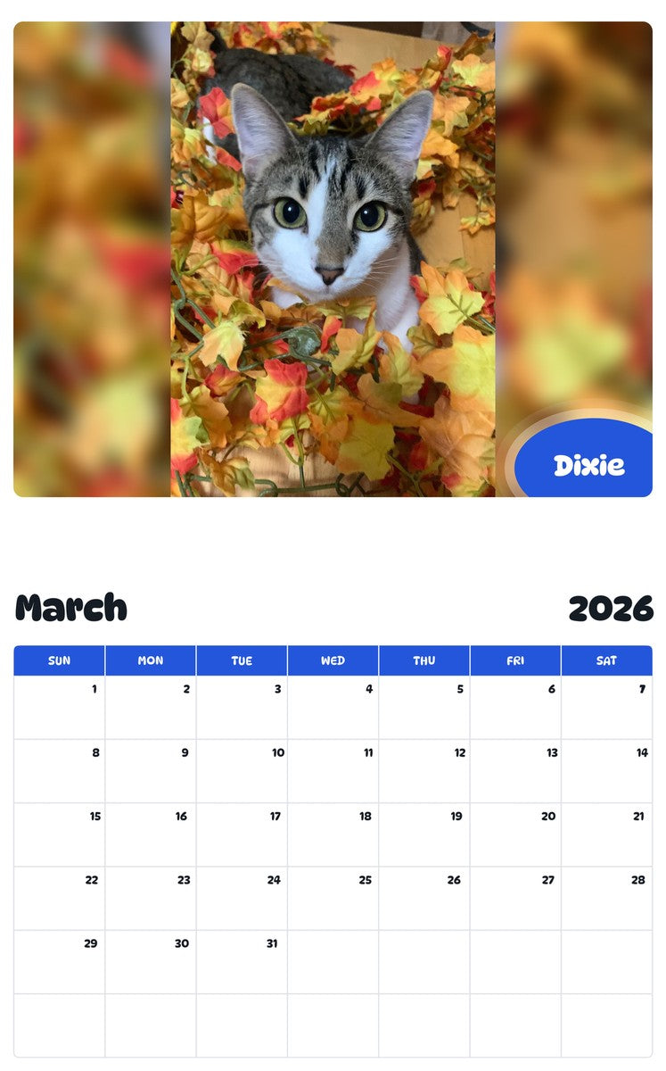 November 2025 - October 2026 Dixie - Pawidols Pet Calendar