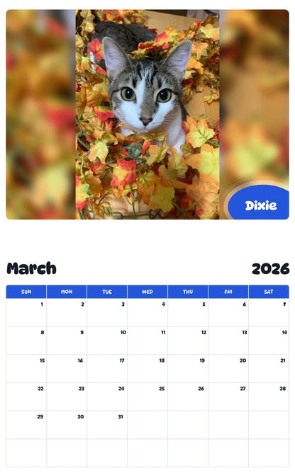 November 2025 - October 2026 Dixie - Pawidols Pet Calendar
