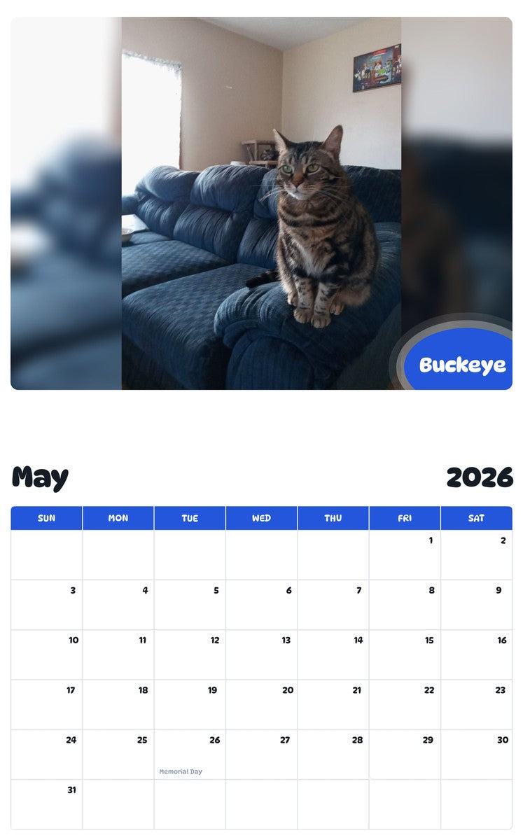 2026 - 2027 Buckeye - Pawidols Pet Calendar