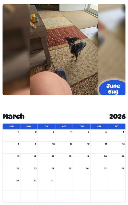 November 2025 - October 2026 June Bug - Pawidols Pet Calendar