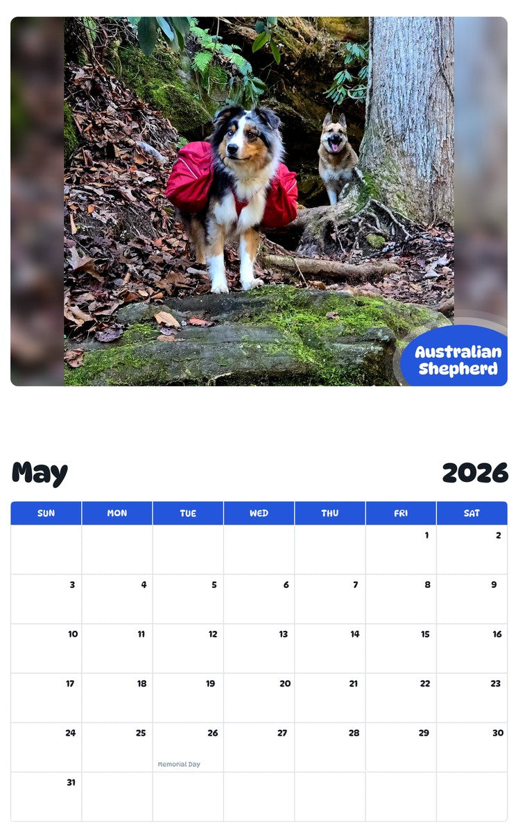 2026 - 2027 Australian Shepherd - Pawidols Pet Calendar