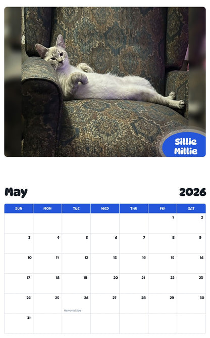 2026 - 2027 Sillie Millie - Pawidols Pet Calendar