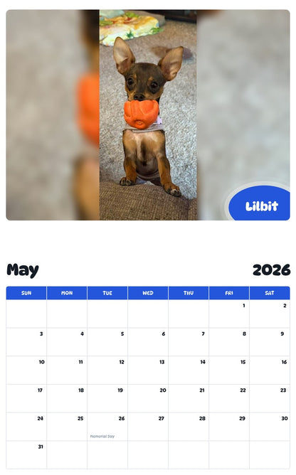 2026 - 2027 Lilbit - Pawidols Pet Calendar
