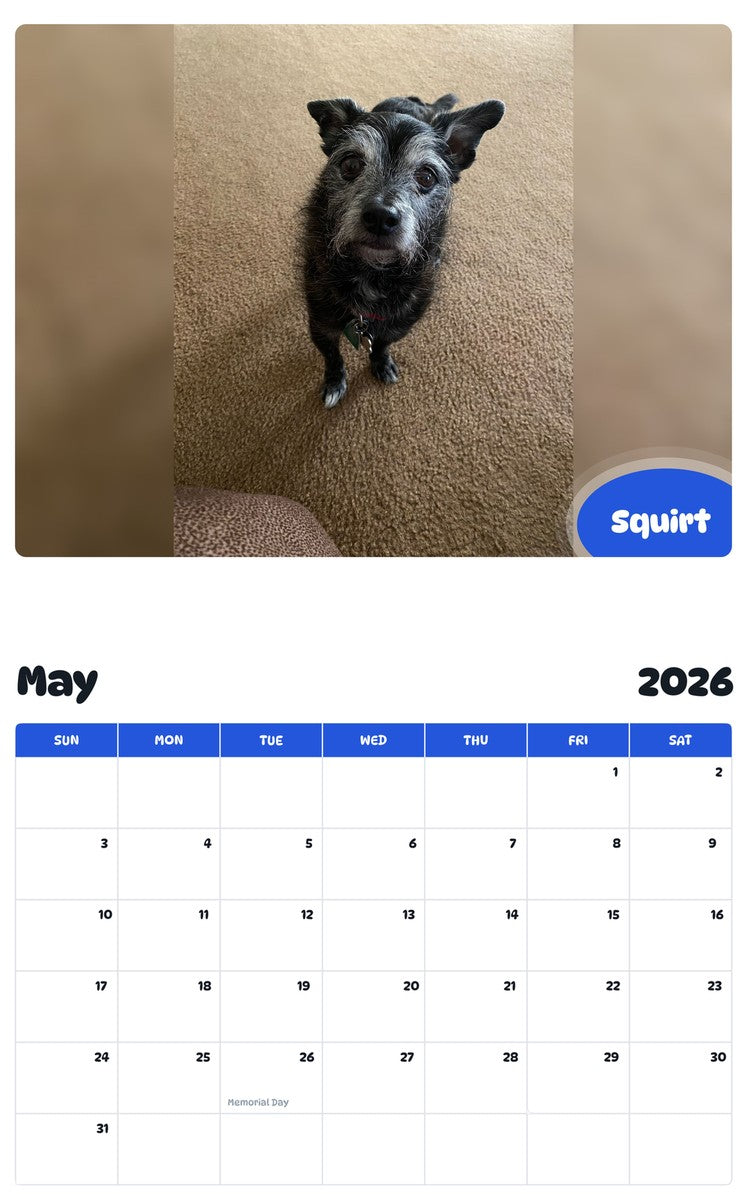 2026 - 2027 Squirt - Pawidols Pet Calendar