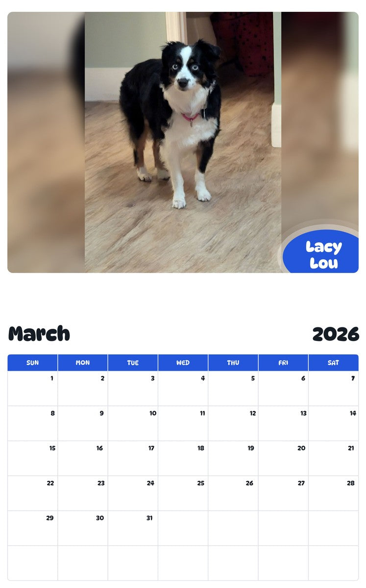 November 2025 - October 2026 Lacy Lou - Pawidols Pet Calendar