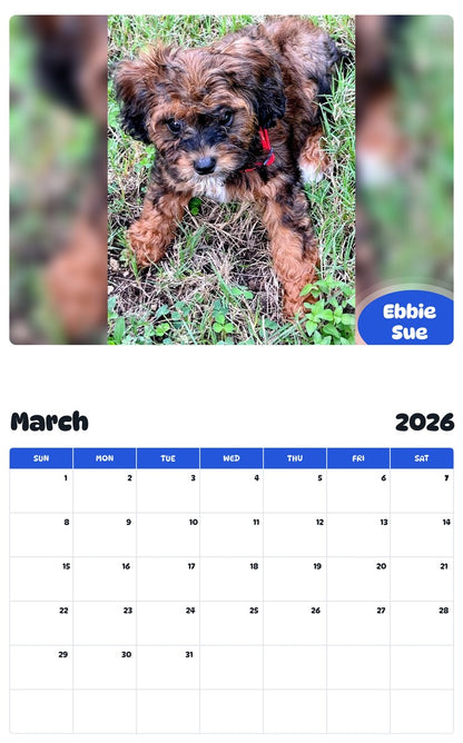 November 2025 - October 2026 Ebbie Sue - Pawidols Pet Calendar