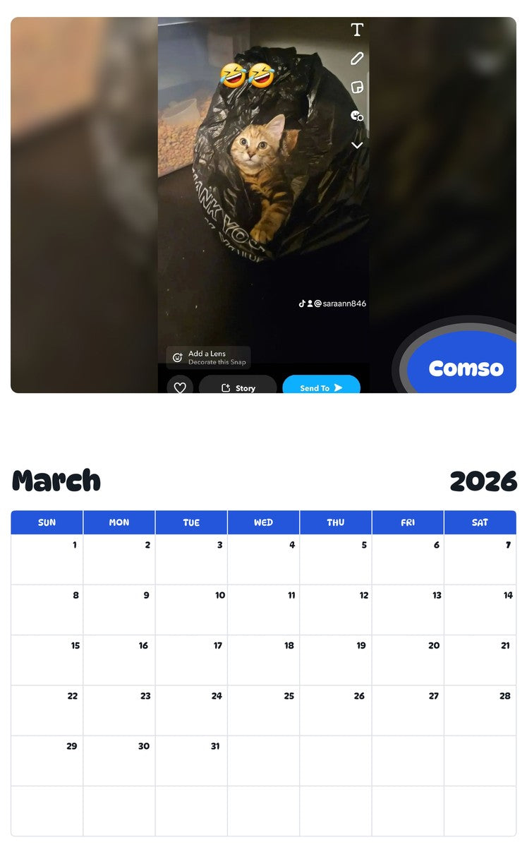 November 2025 - October 2026 Comso - Pawidols Pet Calendar