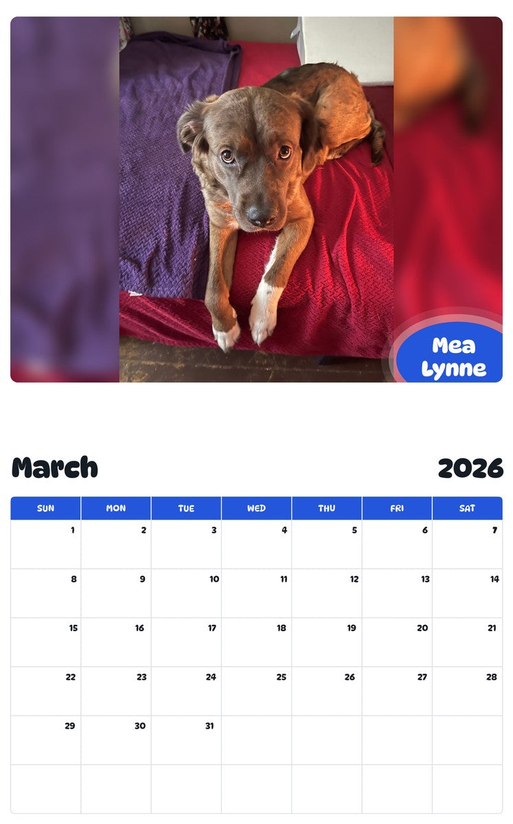 November 2025 - October 2026 Mea Lynne - Pawidols Pet Calendar