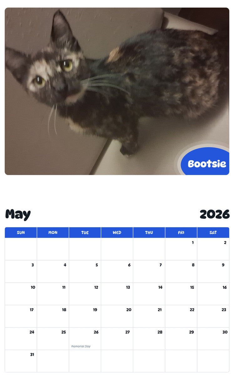 2026 - 2027 Bootsie - Pawidols Pet Calendar