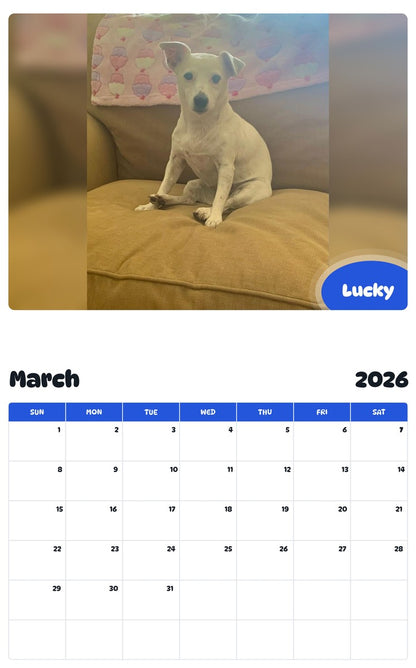 November 2025 - October 2026 Lucky - Pawidols Pet Calendar