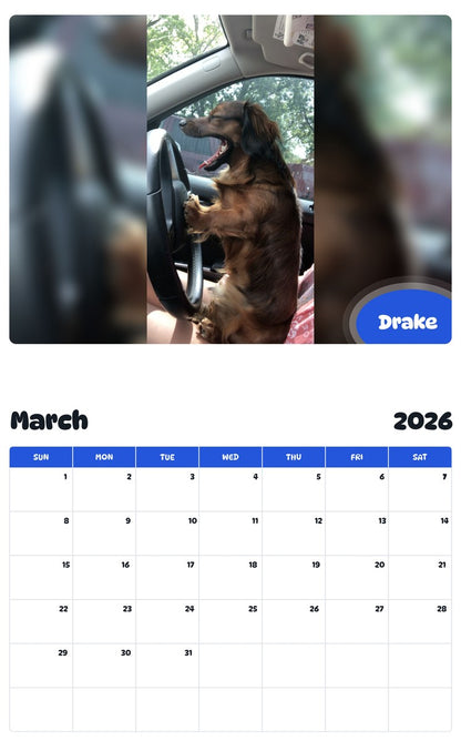 November 2025 - October 2026 Drake - Pawidols Pet Calendar