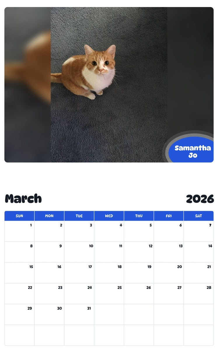 November 2025 - October 2026 Samantha Jo - Pawidols Pet Calendar