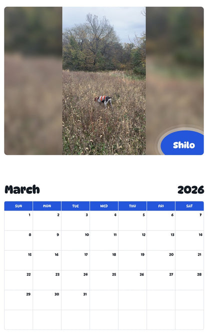 November 2025 - October 2026 Shilo - Pawidols Pet Calendar