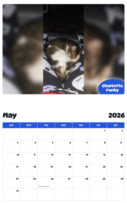 2026 - 2027 Charlotte Punky - Pawidols Pet Calendar