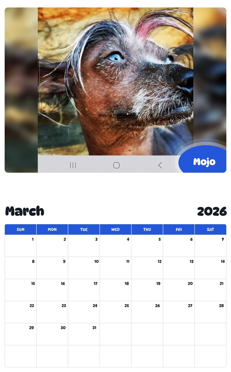November 2025 - October 2026 Mojo - Pawidols Pet Calendar