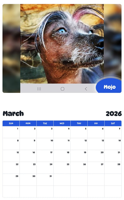 November 2025 - October 2026 Mojo - Pawidols Pet Calendar