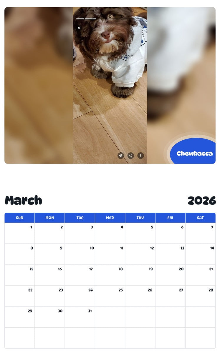 November 2025 - October 2026 Chewbacca - Pawidols Pet Calendar