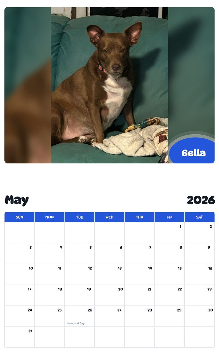 2026 - 2027 Bella - Pawidols Pet Calendar