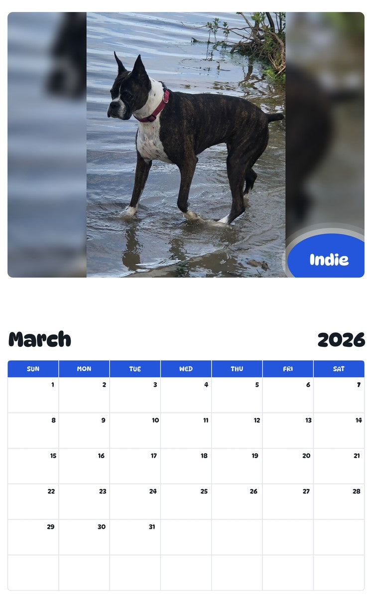 November 2025 - October 2026 Indie - Pawidols Pet Calendar
