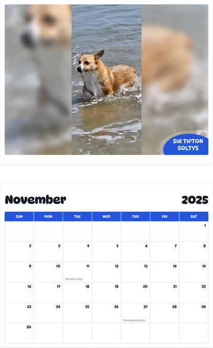 July 2025 - June 2026 Sir Tipton Soltys - Pawidols Pet Calendar