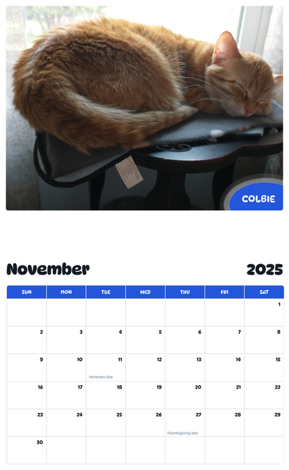 July 2025 - June 2026 Colbie - Pawidols Pet Calendar